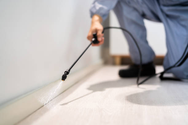 Licensed Cockroach Control service in Shelby County County, IL - Nex Pest Control
