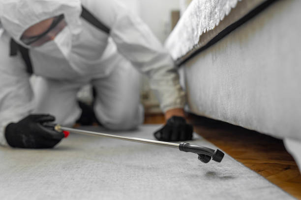 Professional Cockroach Control technician working in Shelby County County, IL